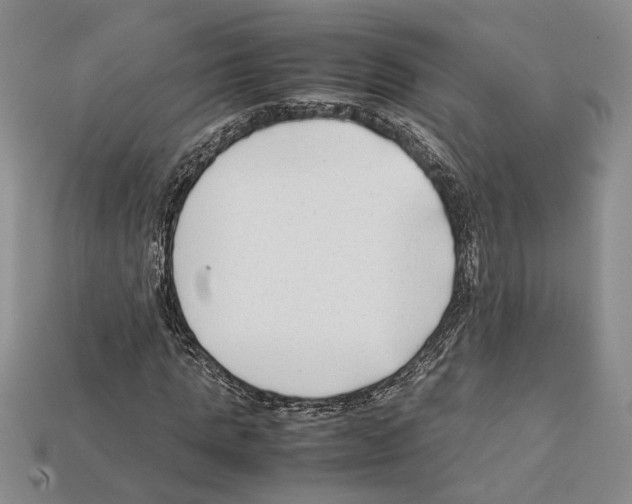 X0000112210821200909181552