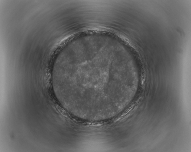 X0000112210822200909181552
