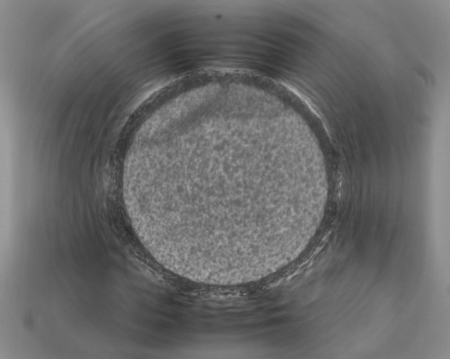 X0000112210823200909181552