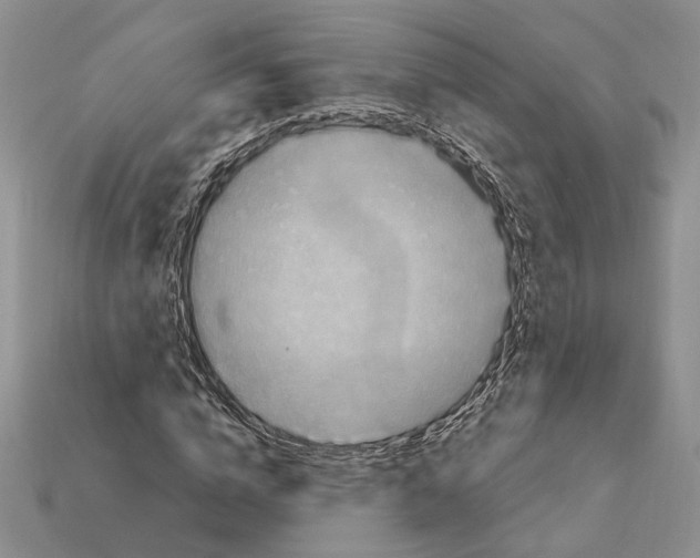 X0000112210824200909181552