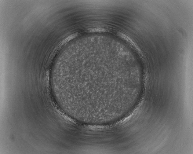 X0000112210825200909181552