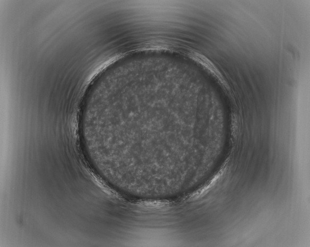 X0000112210826200909181552