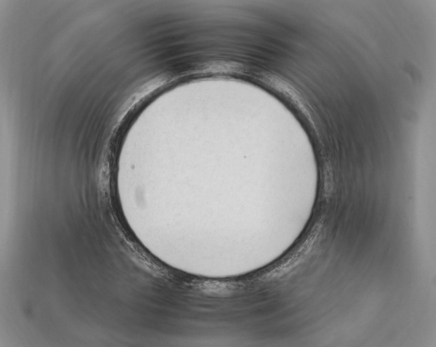 X0000112210827200909181552