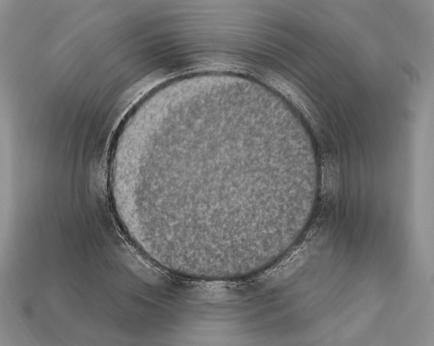 X0000112210828200909181552