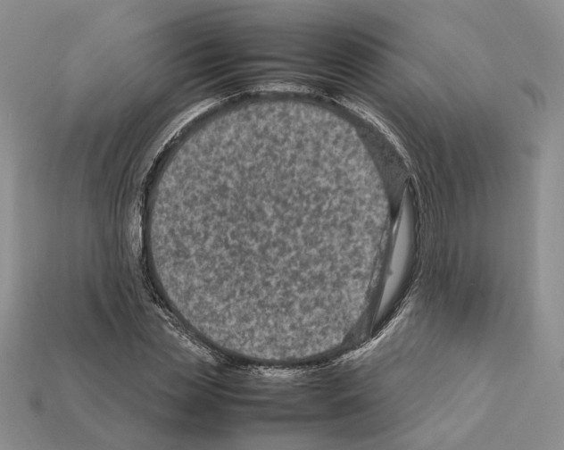 X0000112210829200909181552