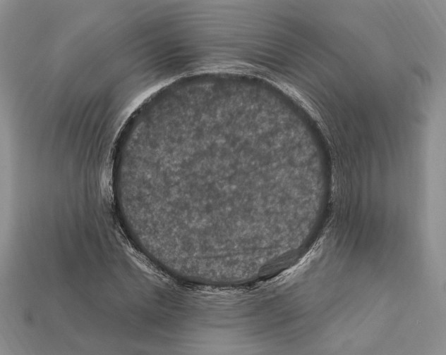 X0000112210830200909181552