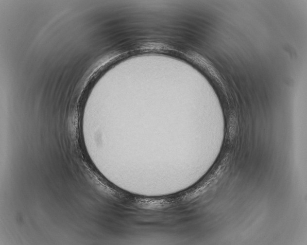 X0000112210831200909181552
