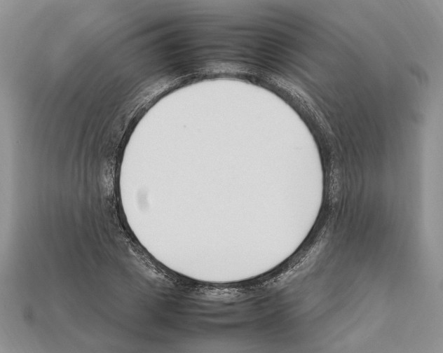 X0000112210833200909181552