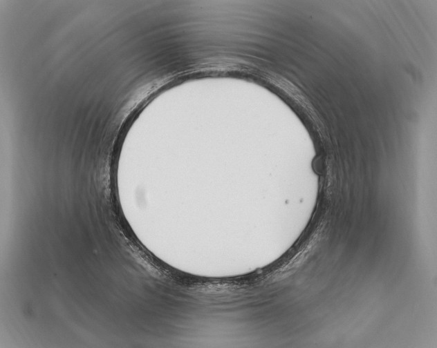X0000112210834200909181552