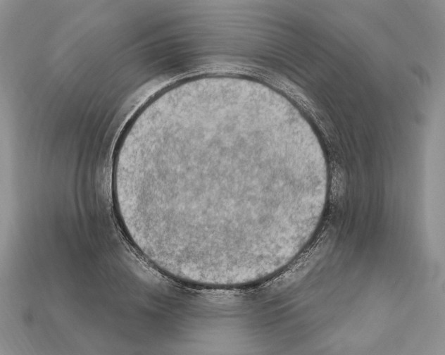 X0000112210836200909181552