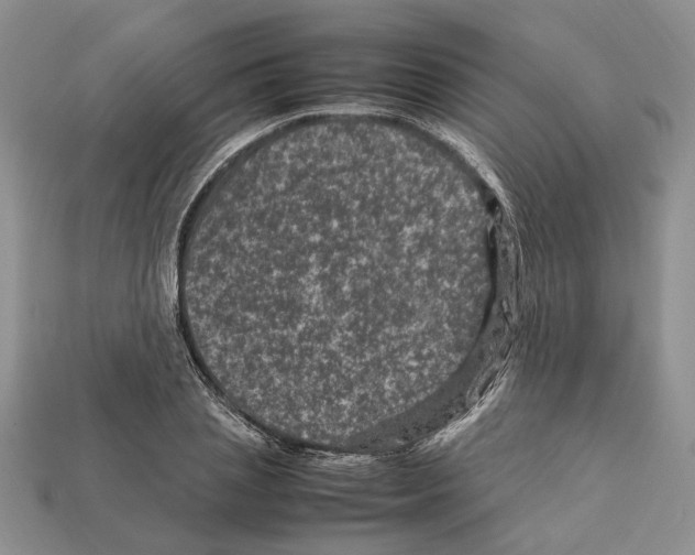 X0000112210837200909181552
