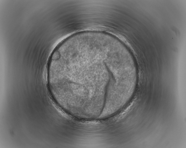 X0000112210838200909181552
