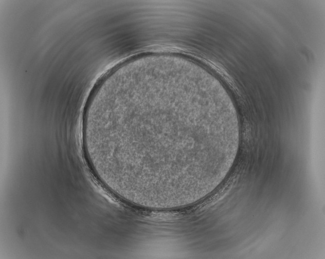 X0000112210840200909181552