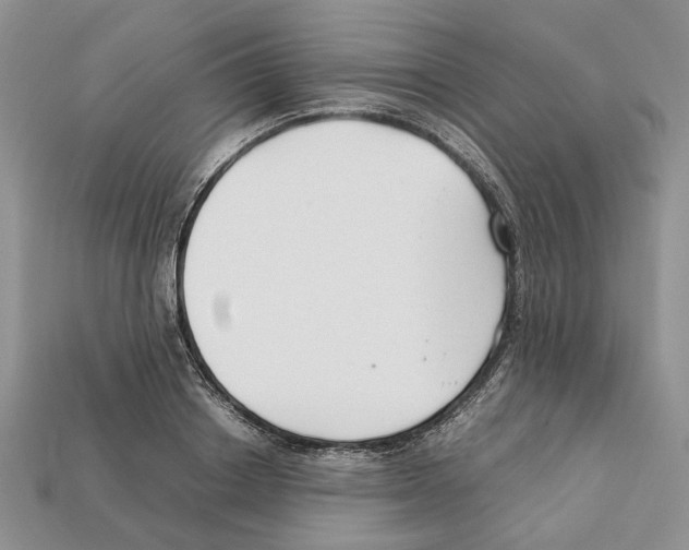 X0000112210842200909181552