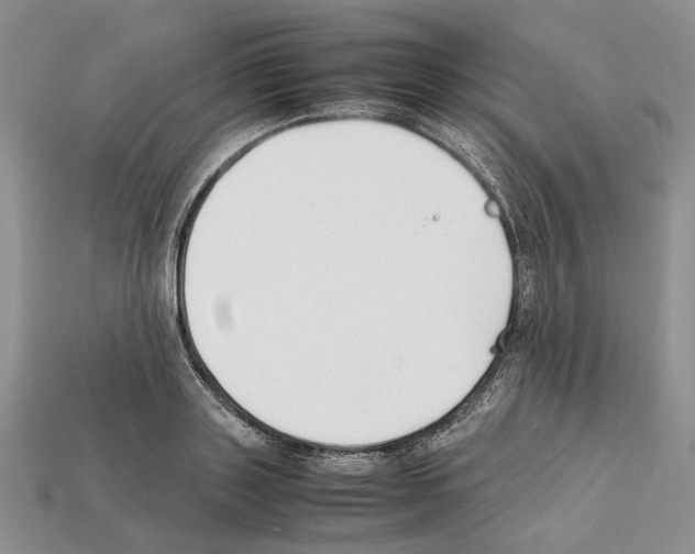 X0000112210843200909181552