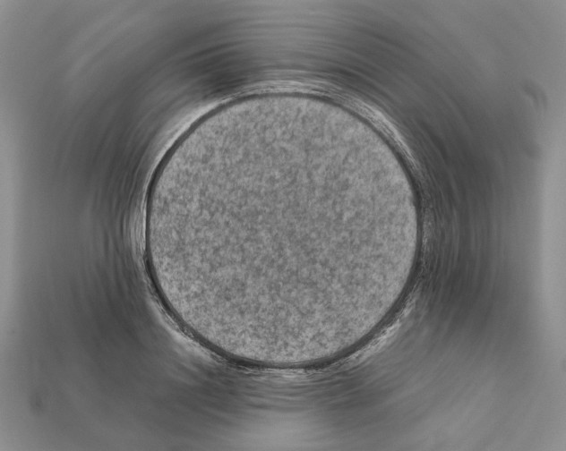 X0000112210844200909181552