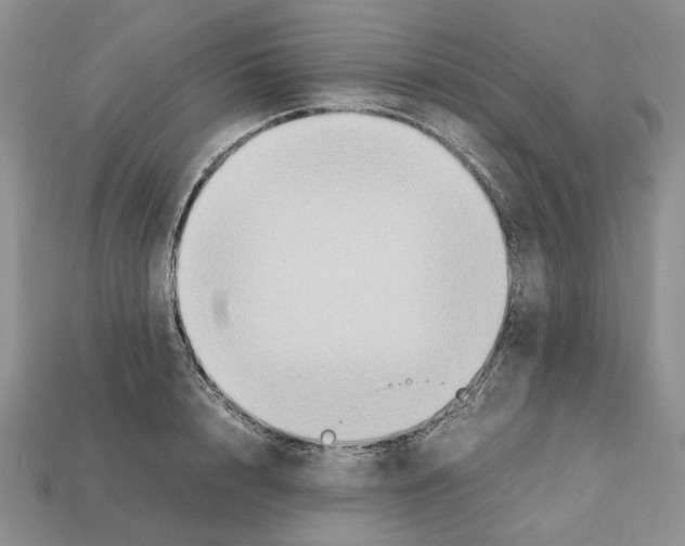 X0000112210848200909181552