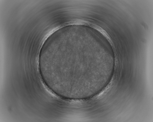 X0000112210850200909181552