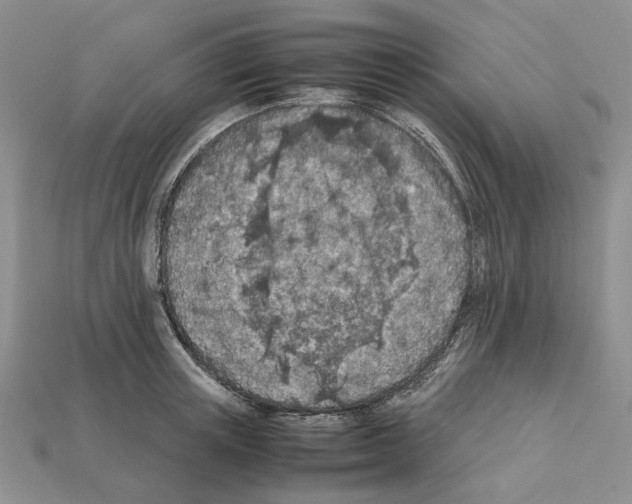 X0000112210851200909181552