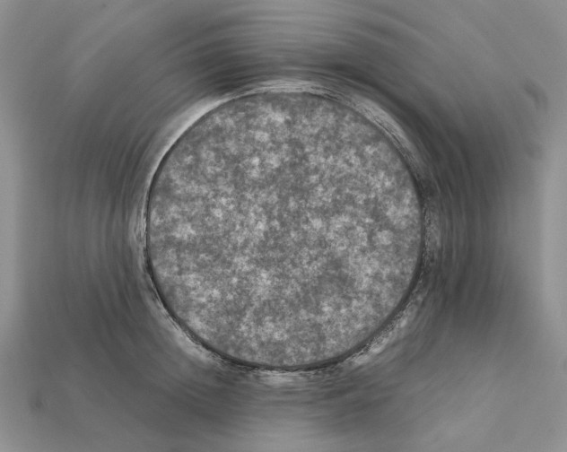X0000112210852200909181552