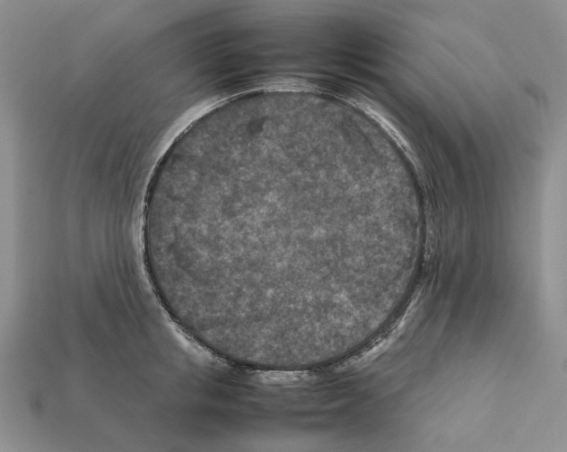 X0000112210853200909181552