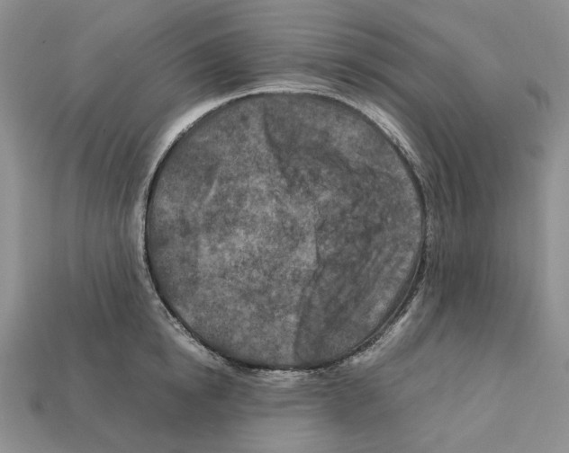 X0000112210854200909181552