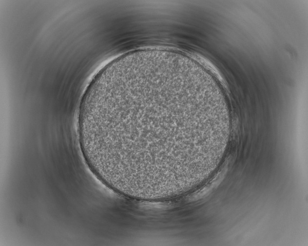 X0000112210855200909181552
