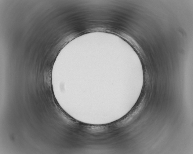 X0000112210857200909181552