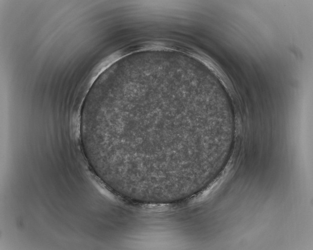 X0000112210858200909181552