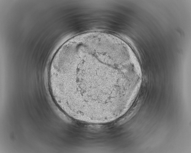 X0000112210859200909181552