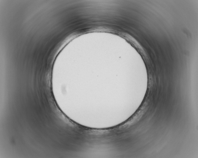 X0000112210860200909181552