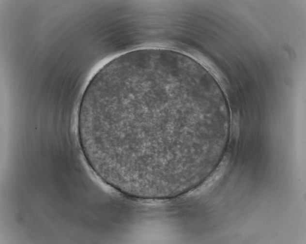 X0000112210862200909181552