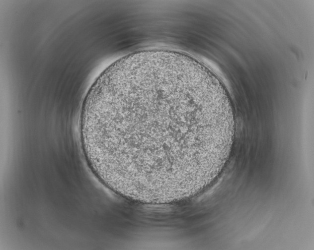 X0000112210863200909181552