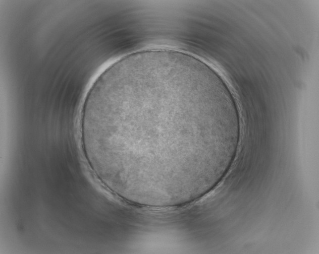 X0000112210864200909181552