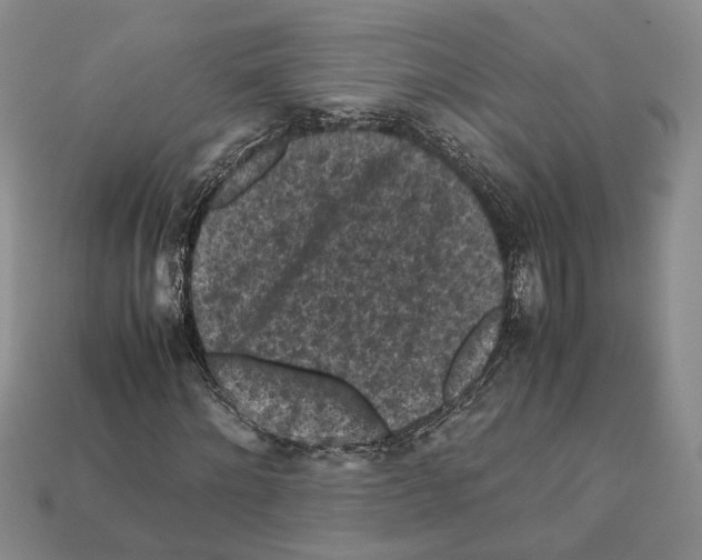 X0000112210868200909181552