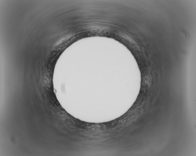X0000112210869200909181552