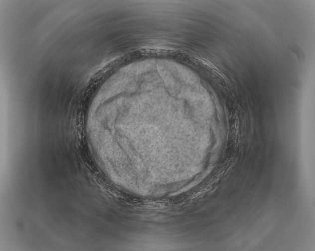 X0000112210870200909181552