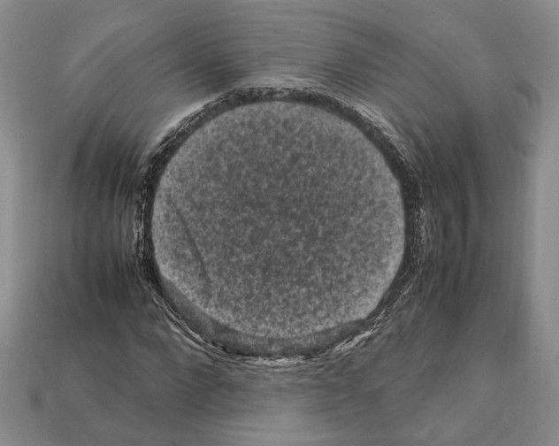 X0000112210872200909181552