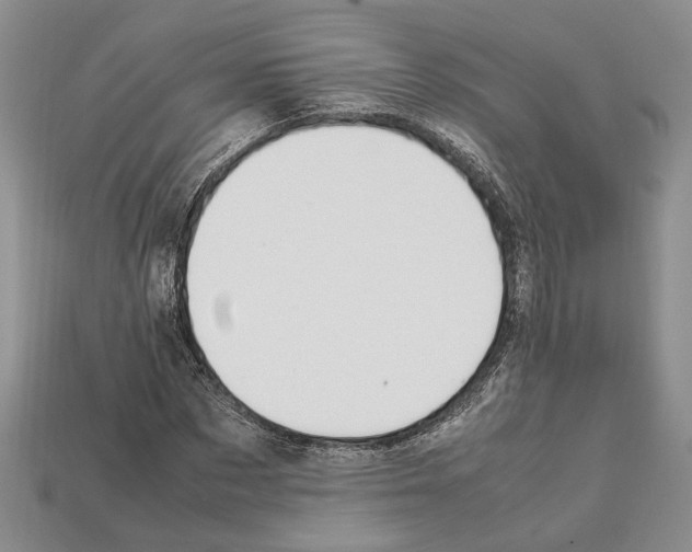 X0000112210873200909181552