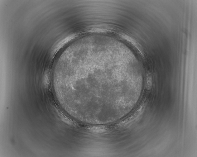 X0000112210874200909181551