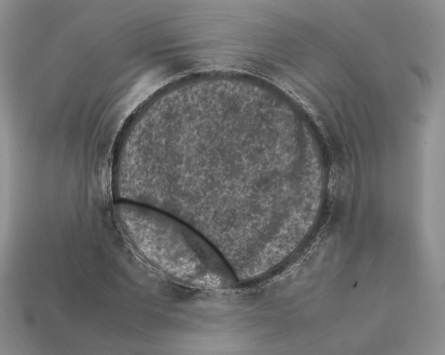X0000112210877200909181551