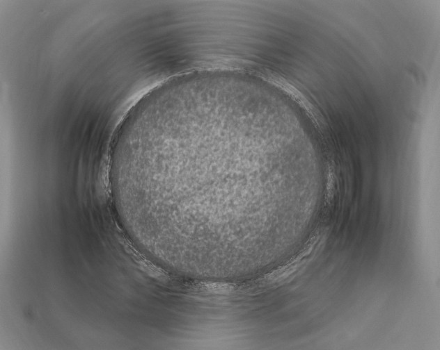 X0000112210878200909181551