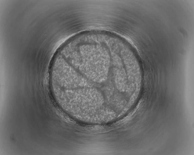 X0000112210879200909181551