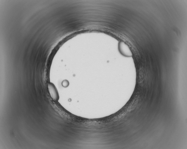 X0000112210880200909181551