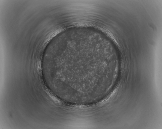 X0000112210881200909181551