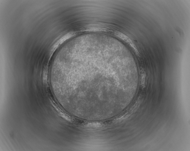 X0000112210882200909181551