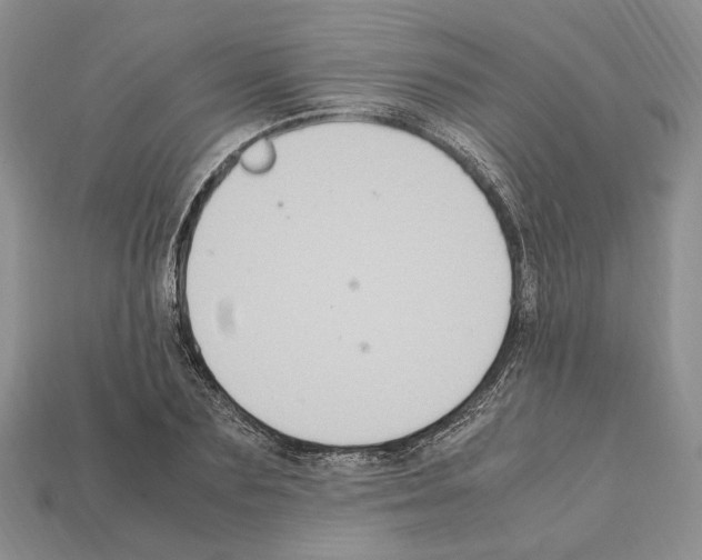 X0000112210883200909181551