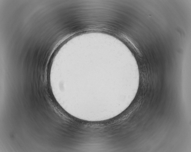 X0000112210884200909181551