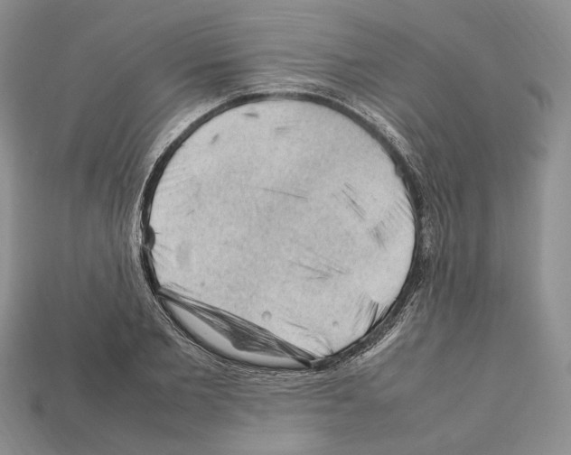 X0000112210885200909181551
