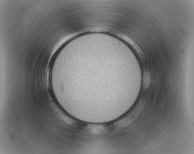 X0000112210886200909181551